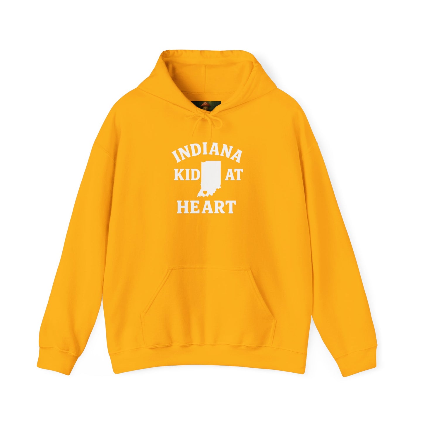 Indiana Kid at Heart Hoodie ❤️Born and raised
