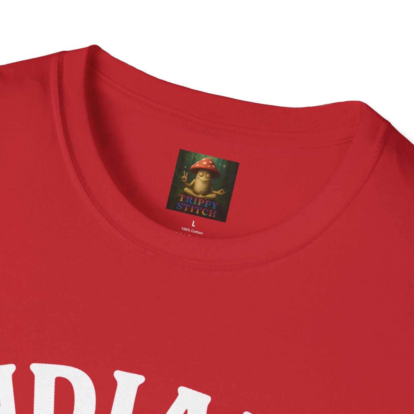 Indiana Kid at Heart Tee❤️Born and raised