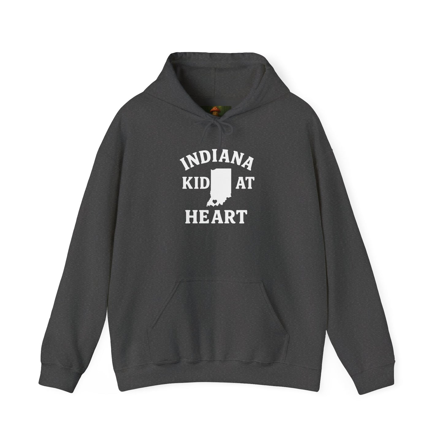Indiana Kid at Heart Hoodie ❤️Born and raised