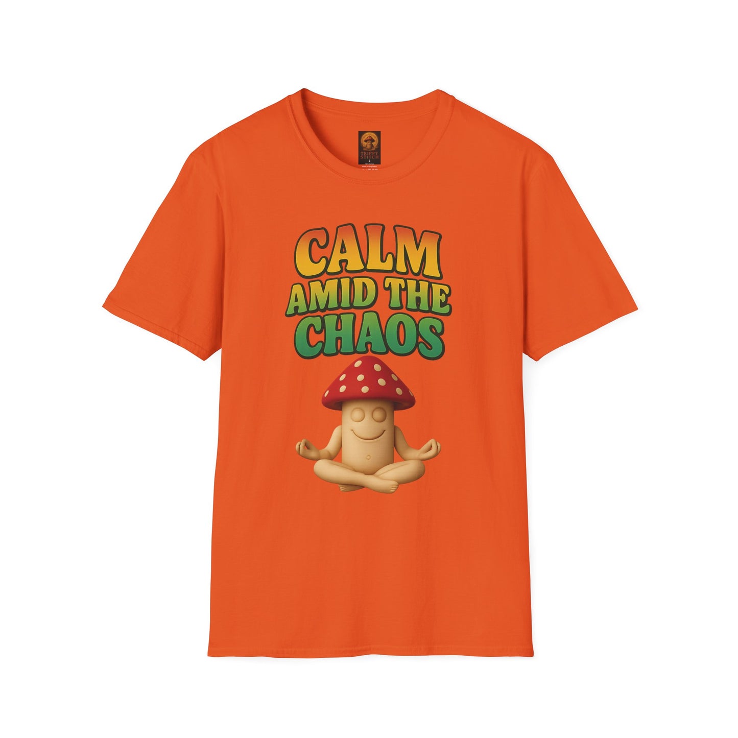Calm Amid the Chaos Shirt, Stay Vigilant, Positive Vibes Clothing