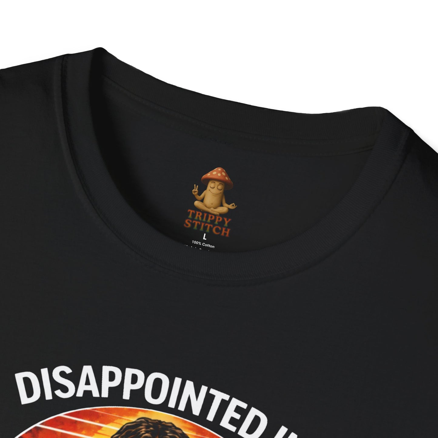 Disappointed in You