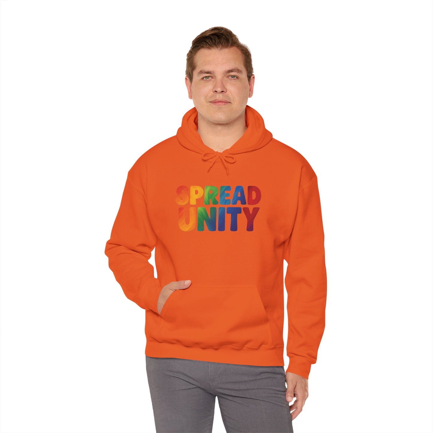 Unity 2 Hoodie