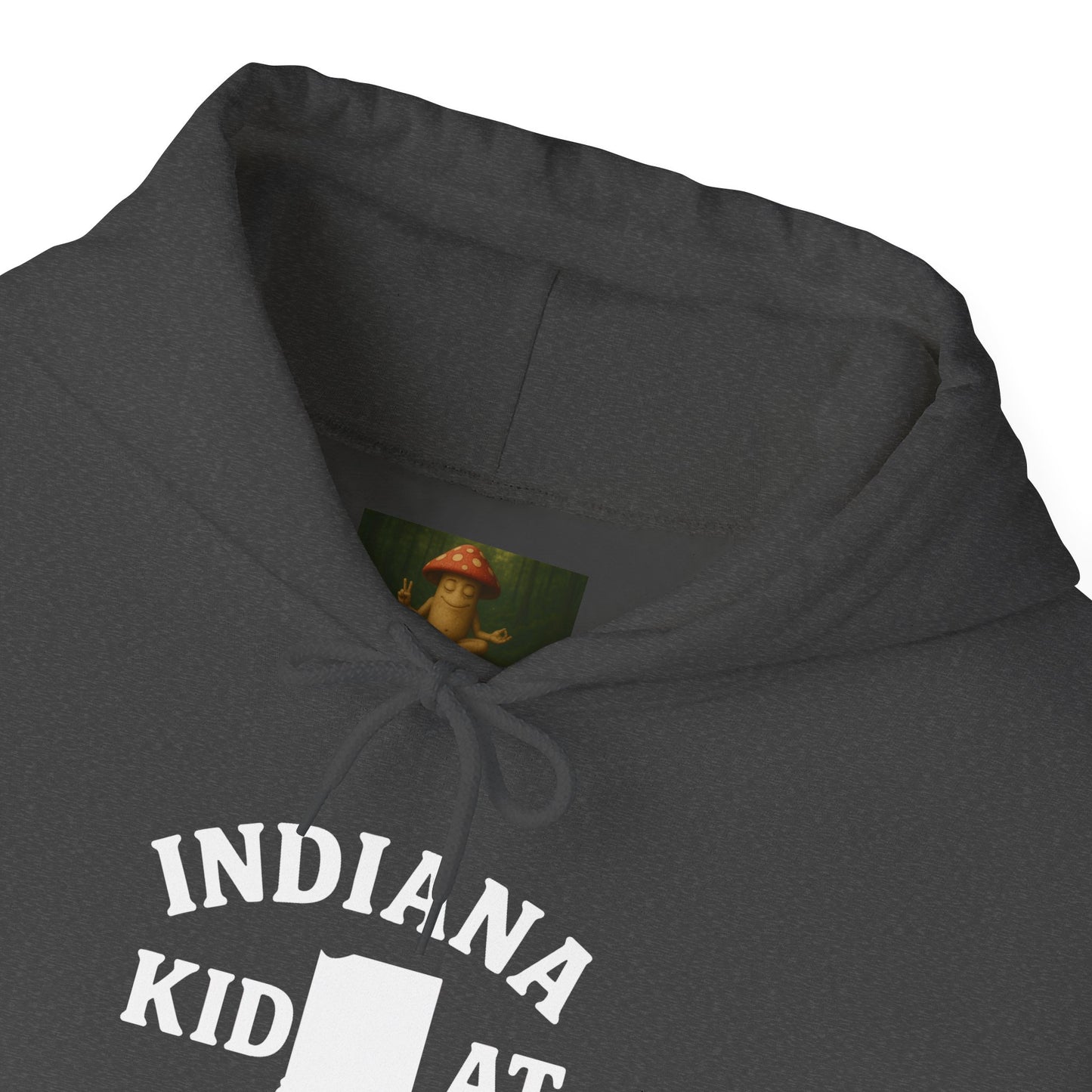 Indiana Kid at Heart Hoodie ❤️Born and raised