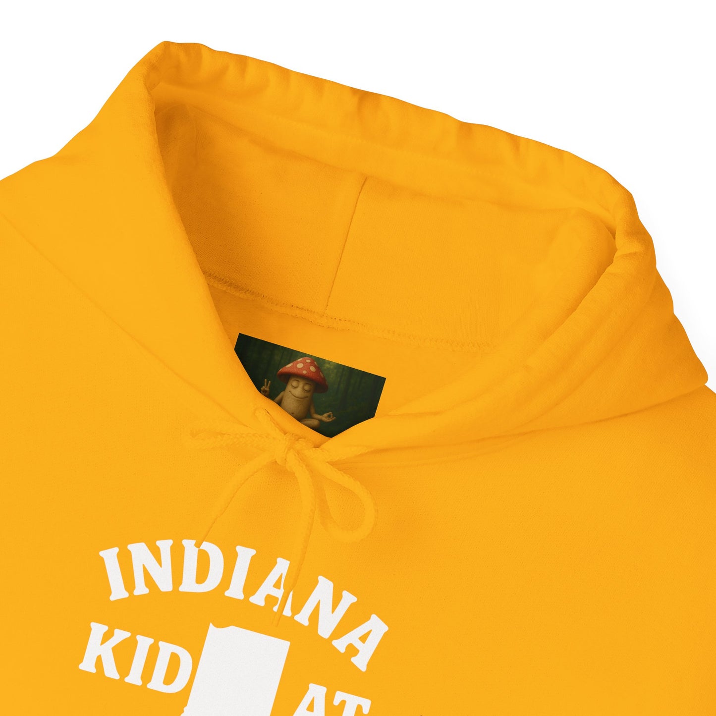 Indiana Kid at Heart Hoodie ❤️Born and raised