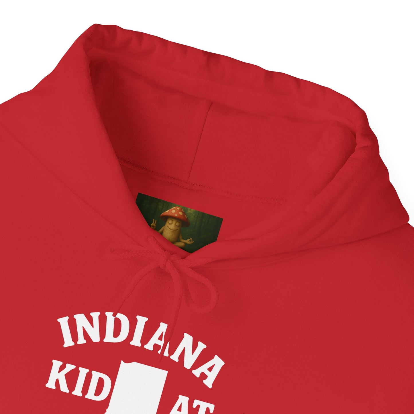 Indiana Kid at Heart Hoodie ❤️Born and raised