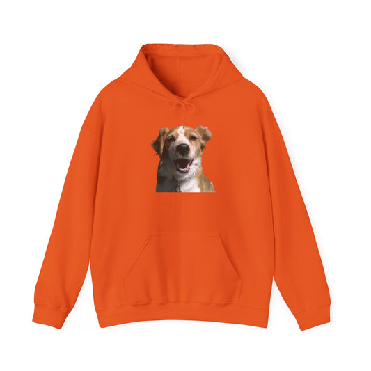 Bambi the Dog Hoodie